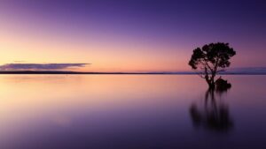 Caron Keeton Wellness